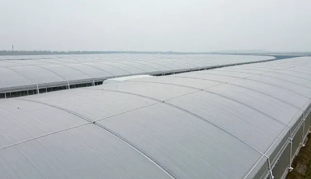 技术开发外包服务选型关注点，如何规避风险