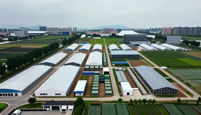 企业技术培训平台选型中的技术转让关注点解析